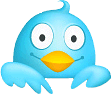 twittercrazybird