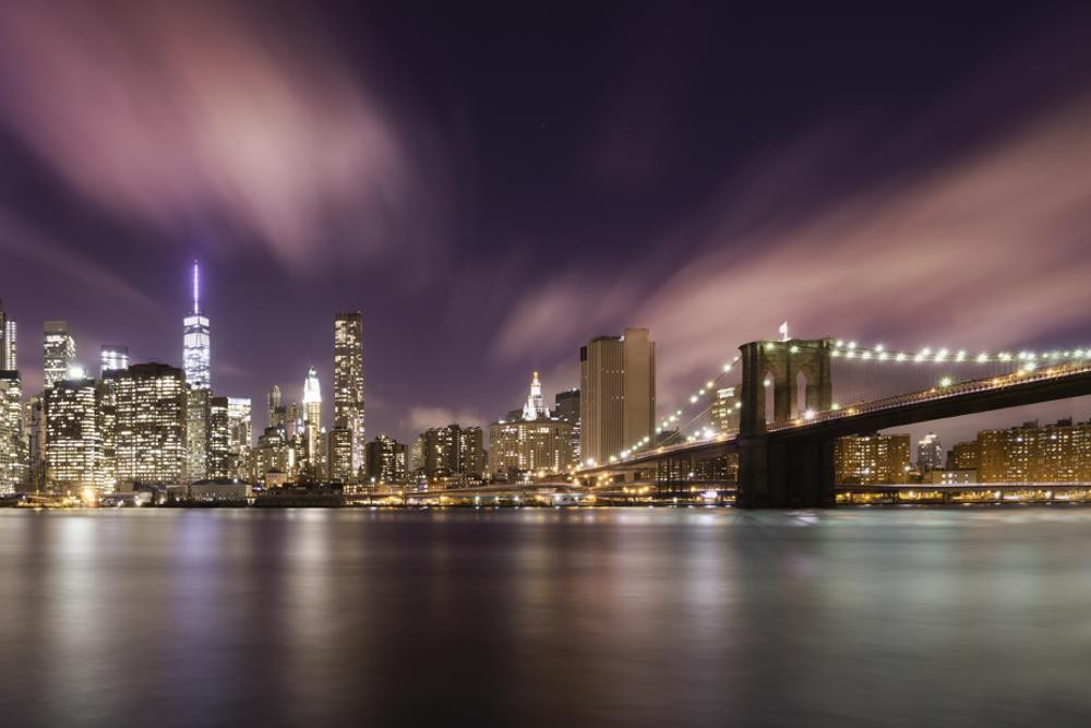 Accessibility, Sustainability, and Immersive Experiences in NYC