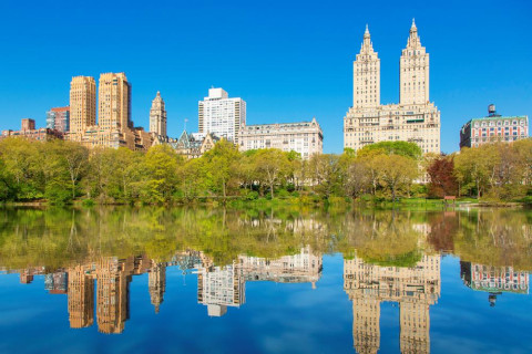 Programmatic Advertising in NYC: The Smartest Way for Small Businesses to Grow in 2025