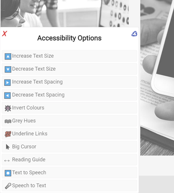 Accessibility options screenshot
